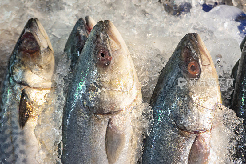 泰国昂西拉鱼市出售的新鲜海鲜