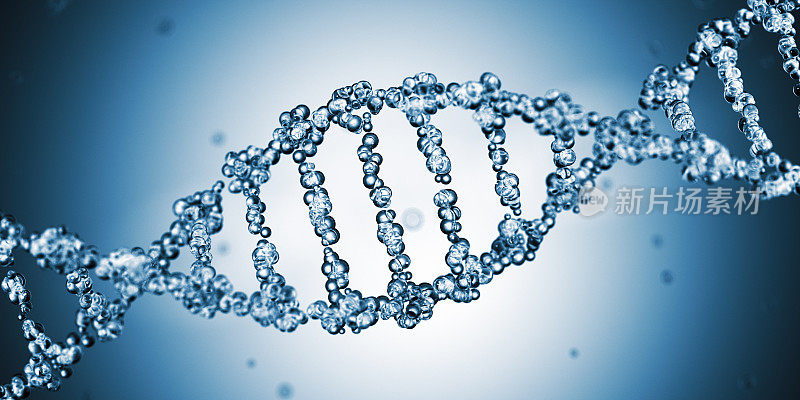 DNA修饰