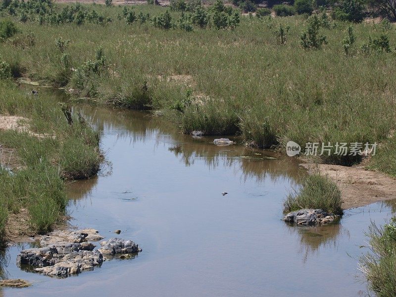 奥利凡特河，克鲁格国家公园，南非