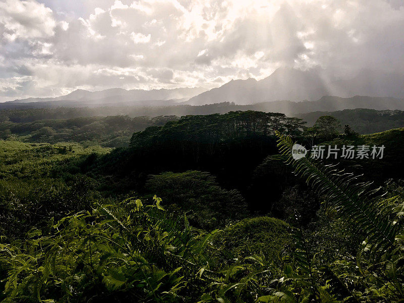 夏威夷考艾岛，郁郁葱葱的Makaleha山