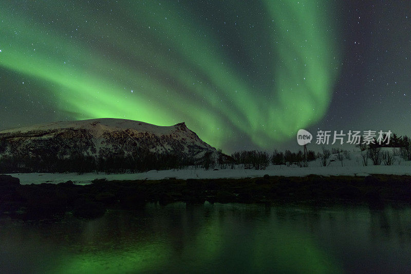 北极光，北极光或北极光在夜空中在罗浮敦群岛在挪威北部