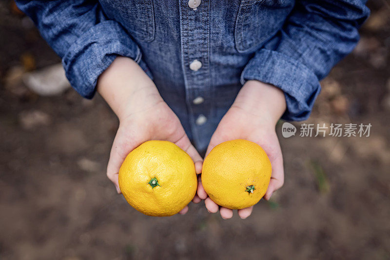 果园里的孩子们拿着橘子