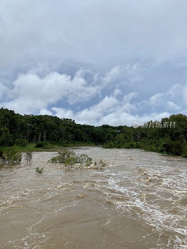 洪水雨林河-潮湿的热带，远北昆士兰