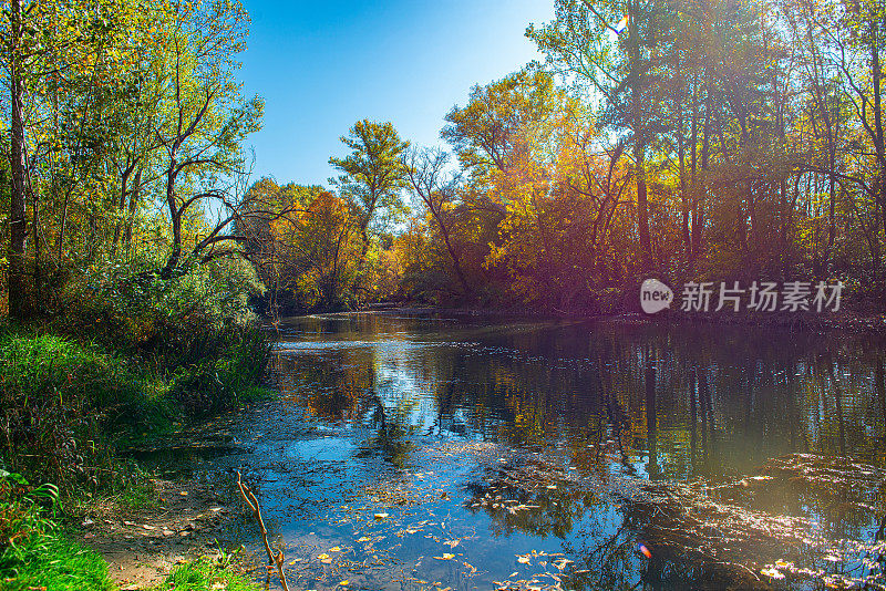 这是一幅被森林包围的河岸边的秋天风景图