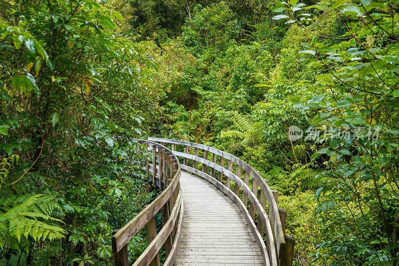 新西兰南岛霍基提卡霍基提卡峡谷风景保护区的小径