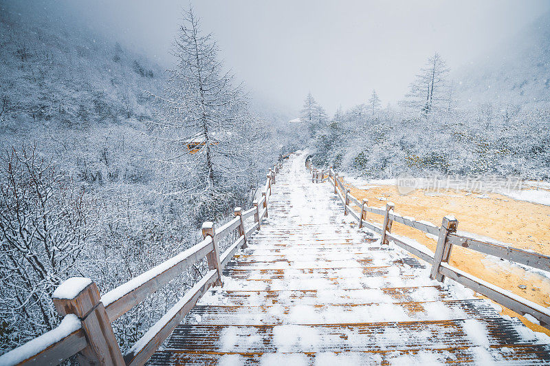 中国四川九寨沟和黄龙国家公园的自然景观，覆盖雪地面自然森林和树木景观