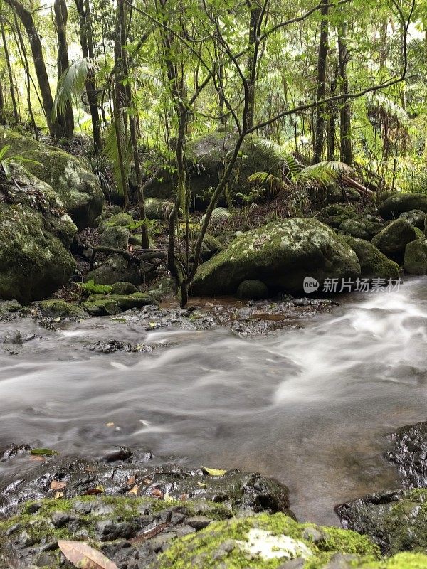 雨林溪流和巨石