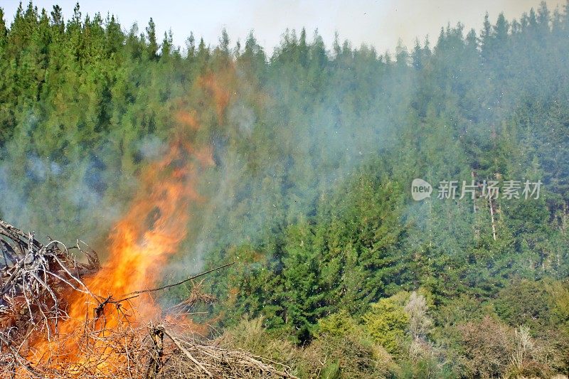 乡村场景中火被控制燃烧