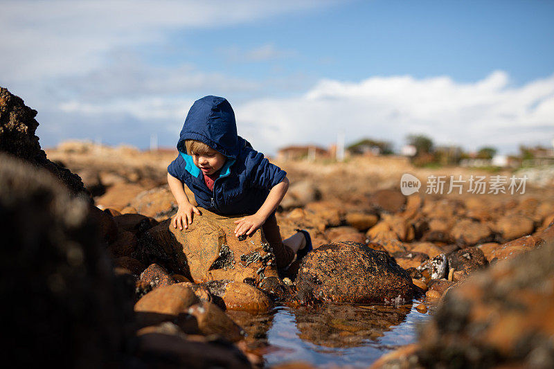 一个小男孩在海滩上探索岩石池