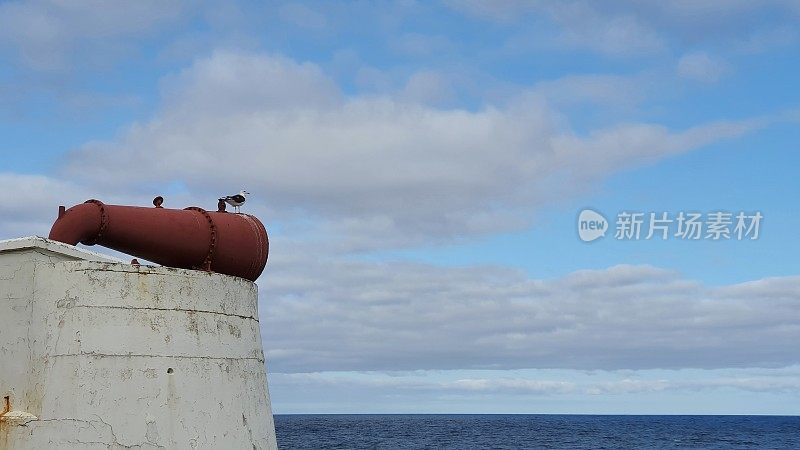 迷失和海鸥