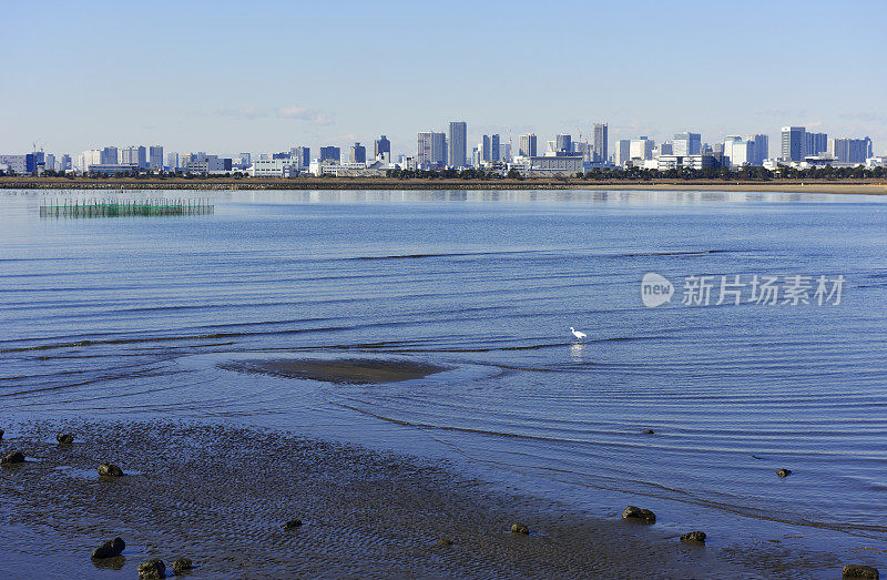 从东京湾地区在东京城市天际线对晴朗的天空