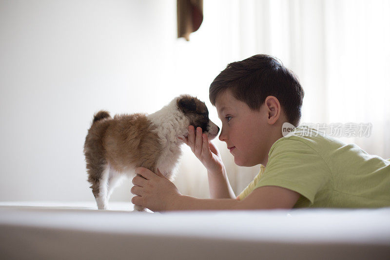 男孩在抚摸可爱的小狗。