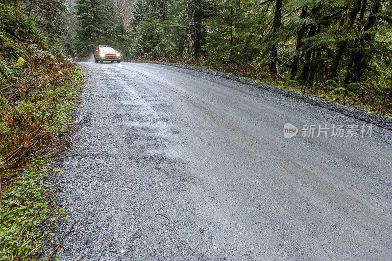 跑车行驶在森林道路上的景象