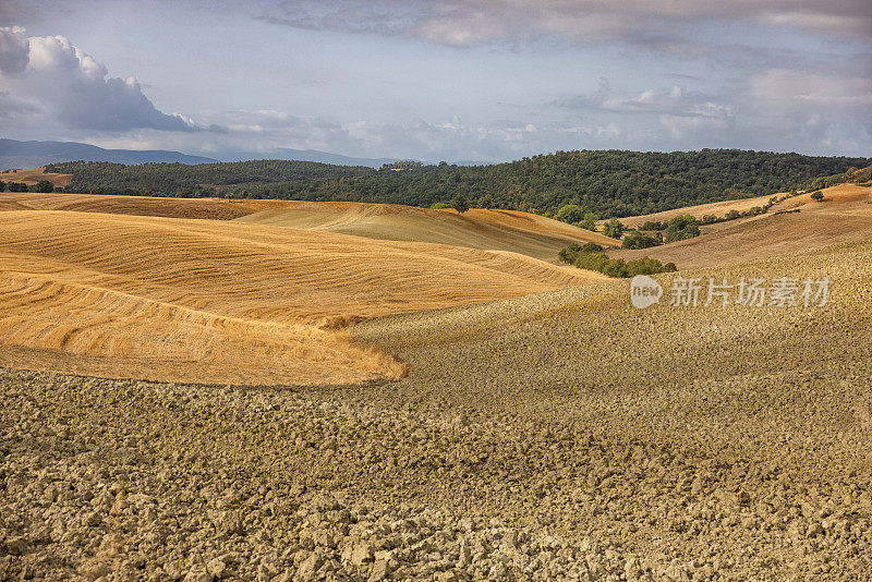 风景和乡村:标志性的托斯卡纳户外