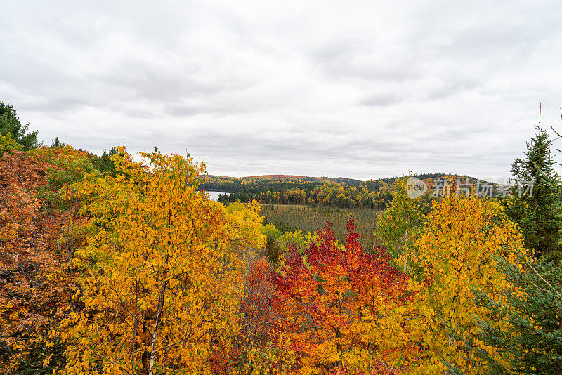 加拿大安大略省，阿尔冈昆省公园游客中心，挪威湖的秋色