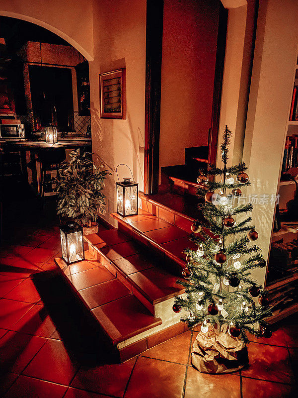 家里有圣诞树和灯笼