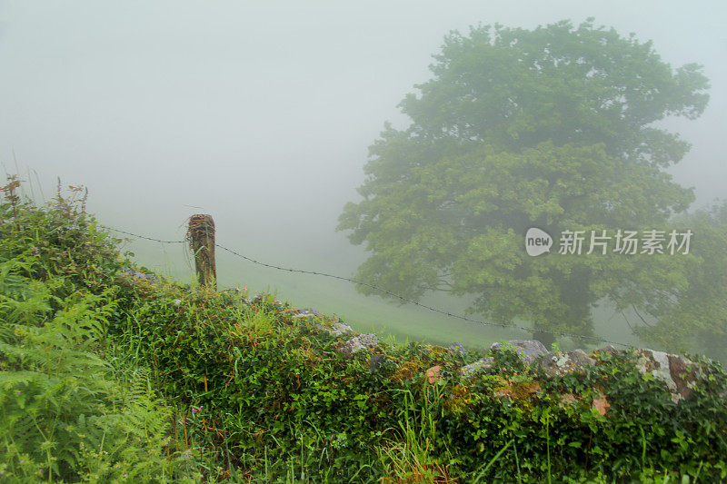 夏天。雾。字段。山