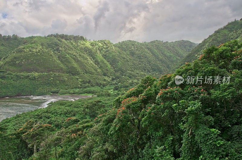 沿着通往夏威夷毛伊岛哈纳岛的道路，有许多黑色的沙滩，其中之一被郁郁葱葱的绿色覆盖