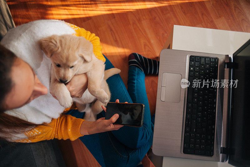 女人在家里用笔记本电脑工作，宠物狗陪着她