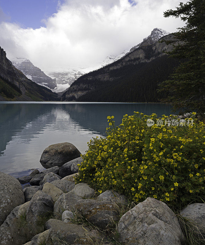 露易丝湖风景