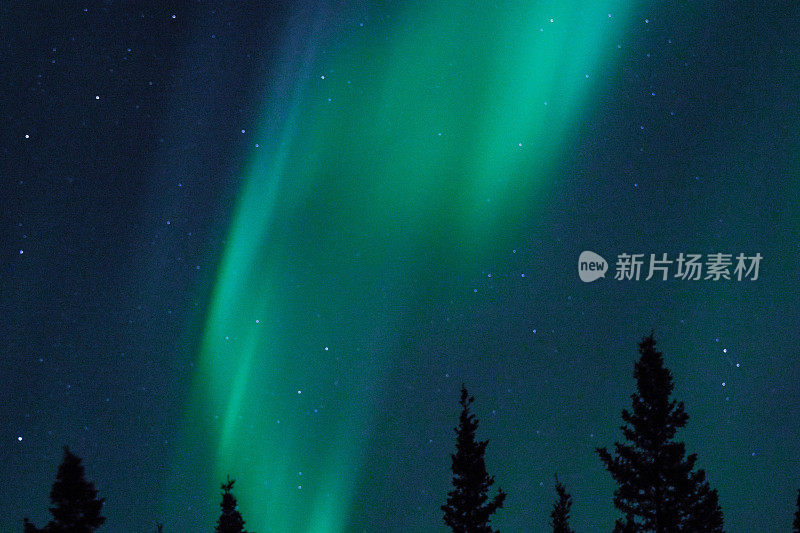 夜晚的天空与树林后面的极光