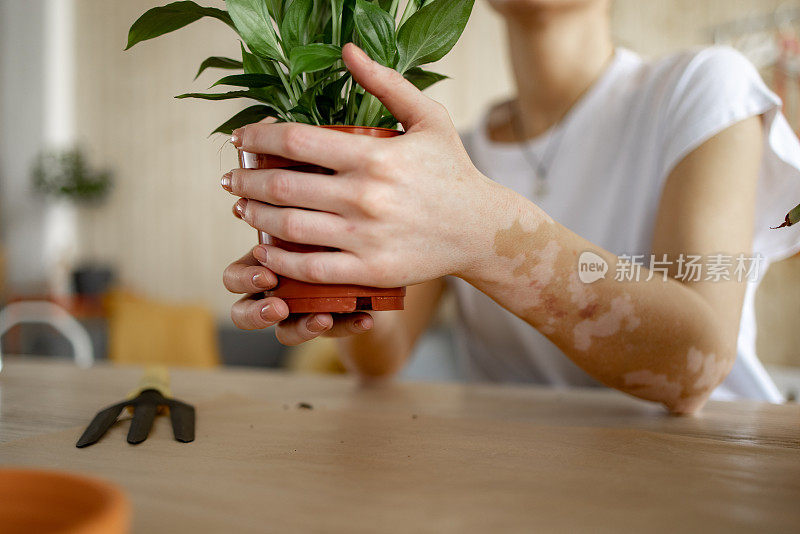 一个不知名的年轻白人妇女在家里照顾她的植物的特写