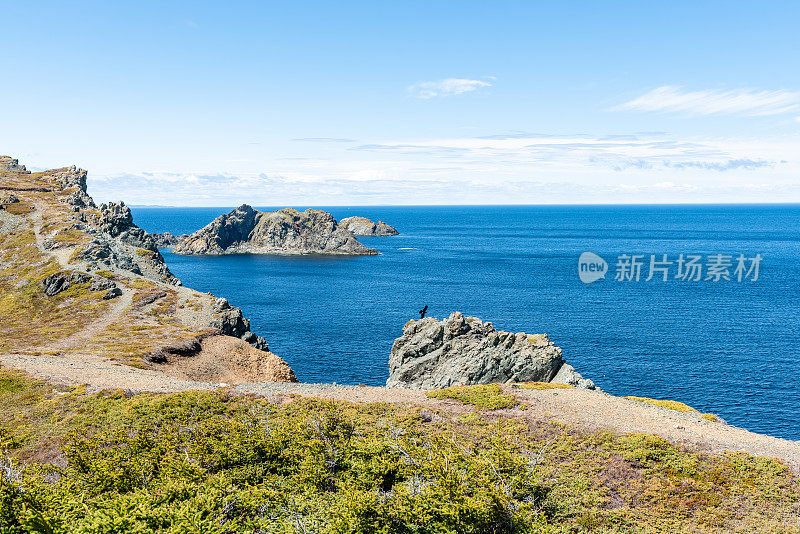 低头，保姆洞和睡眠湾小径，乌鸦头，Twillingate，加拿大