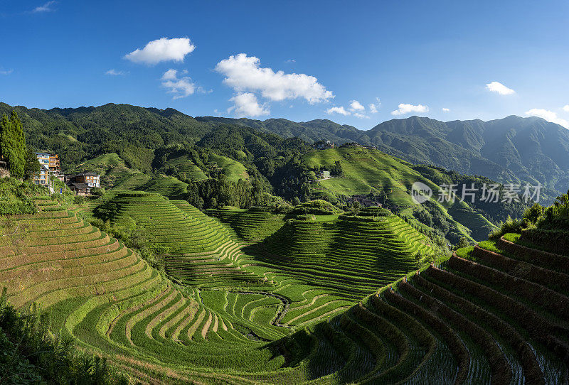 龙胜梯田