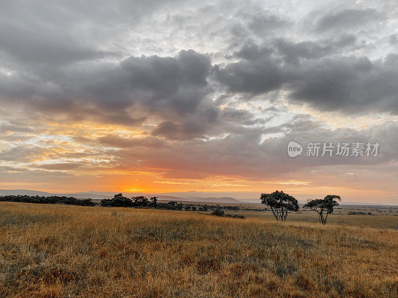 肯尼亚马赛马拉国家保护区美丽的日落