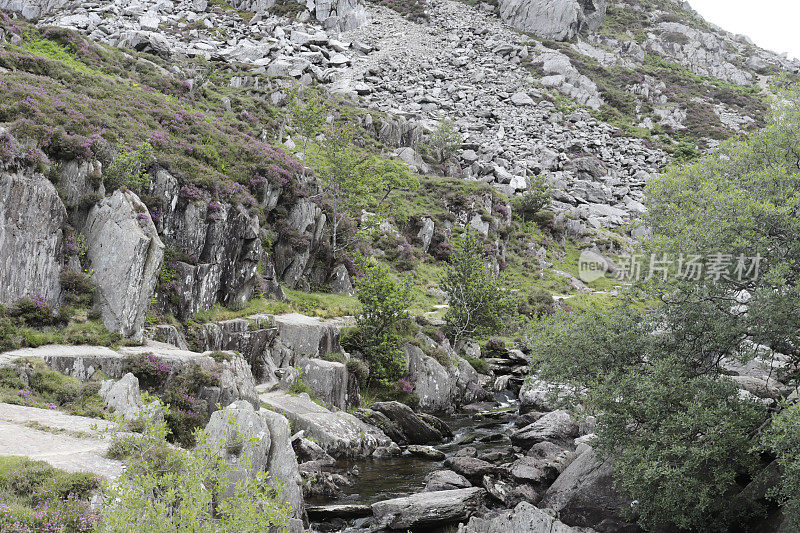 英格兰风景(英国中部考文垂附近)