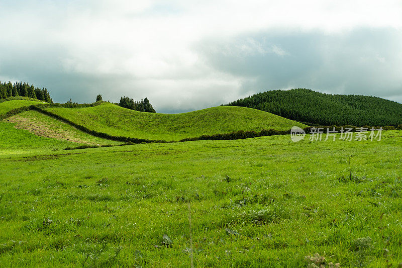 小绿草山。