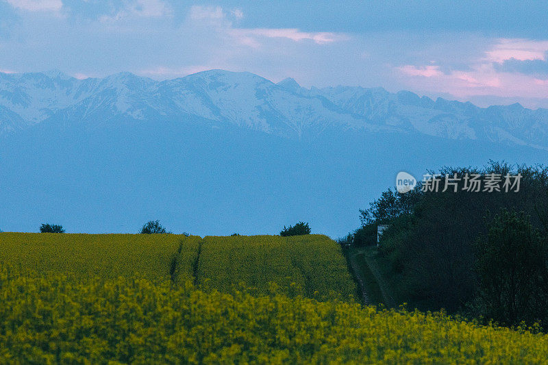 从农田俯瞰群山