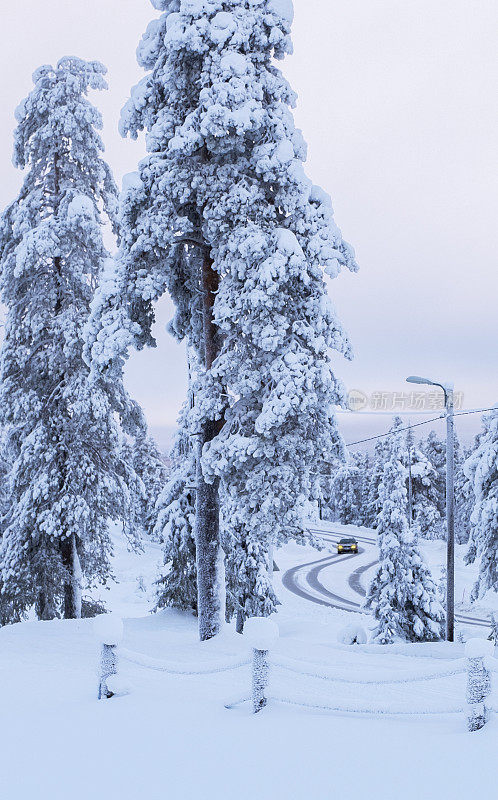 白雪覆盖的森林和乡村白雪覆盖的道路。汽车在雪地里行驶。