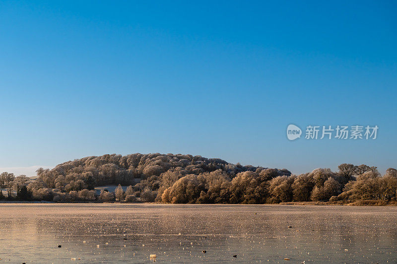 苏格兰冰湖边的林地