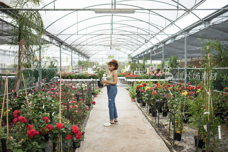 花店里的女人为她的玫瑰挑选花盆和花盆，花圃里的满是画像