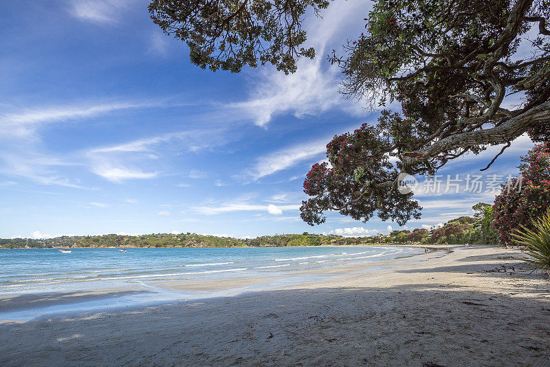 Waiheke岛海岸线，奥克兰，新西兰