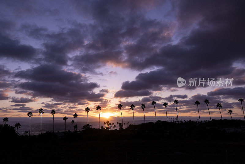 恩西尼塔日落在棕榈树的沼泽