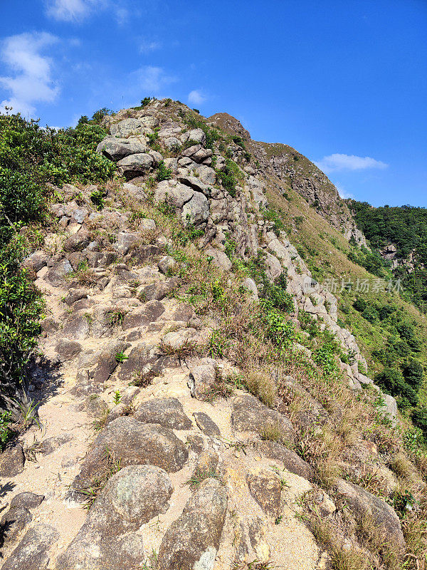 西方狗牙远足，九龙岭，香港