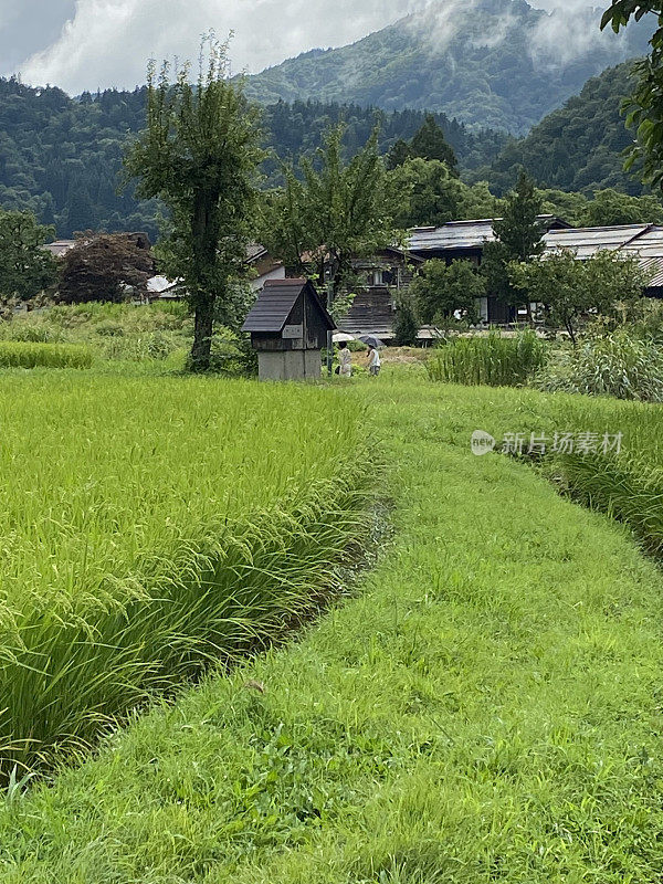 日本——白川乡