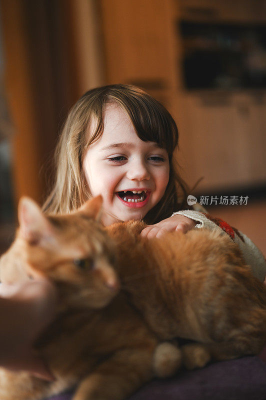 一个快乐可爱的女孩和猫玩耍的肖像。