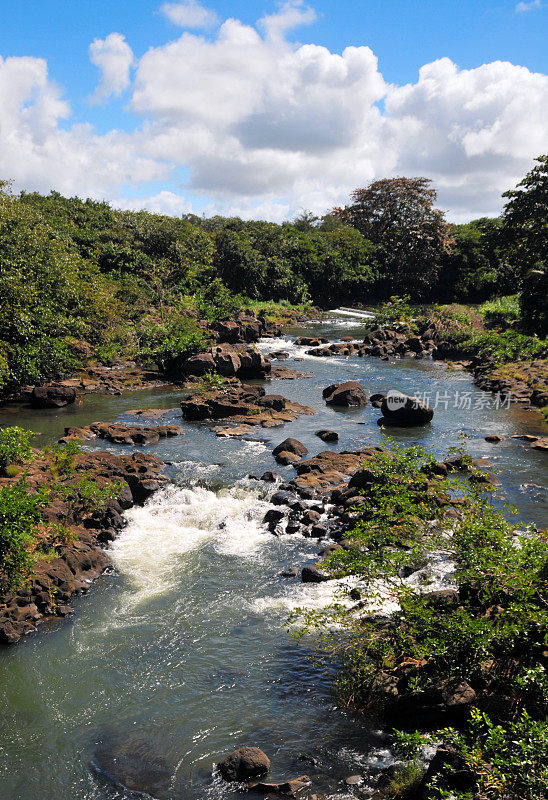 东南大河(GRSE)由热带植被构成，毛里求斯