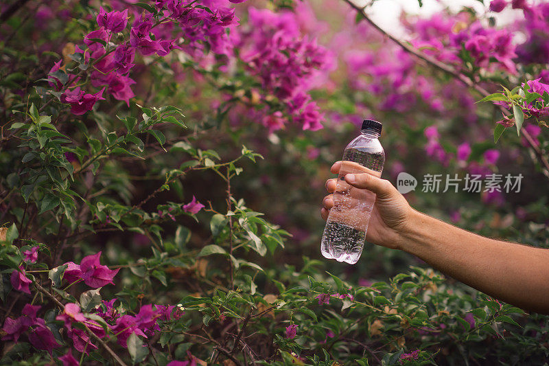 自然中的塑料水瓶