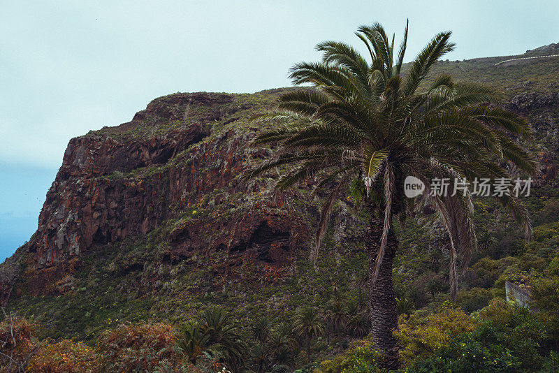 加那利群岛特内里费岛的风景