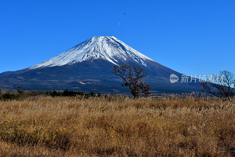 前面有秋叶色彩的富士山:从静冈县富士宫浅尻高地观看