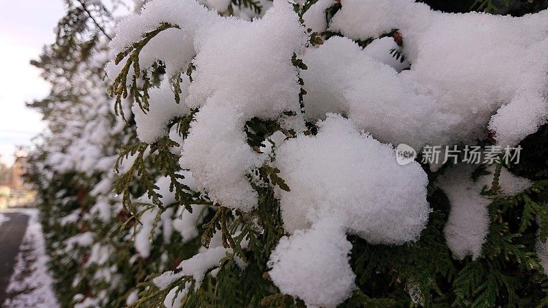 卡尔斯鲁厄的第一场雪。