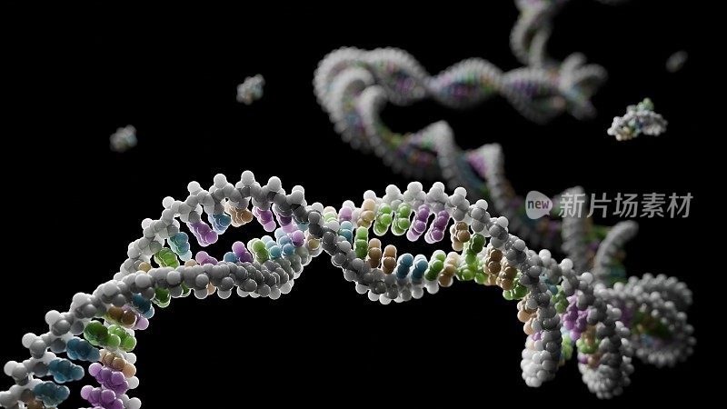DNA螺旋