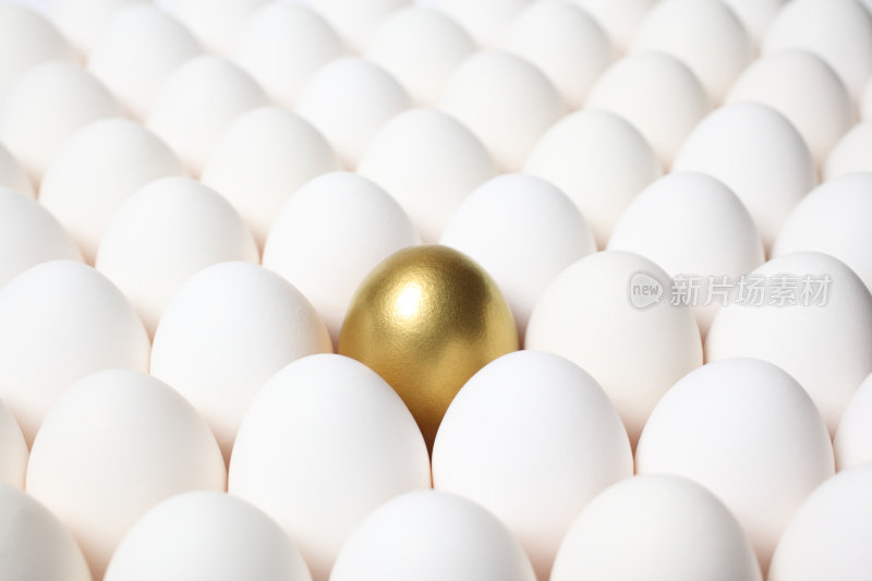 金蛋从一群普通蛋中脱颖而出
