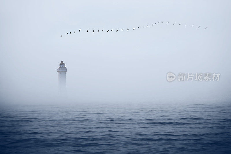 雾海中的灯塔，天空中的飞鸟