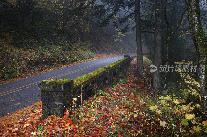 历史悠久的哥伦比亚河峡谷公路秋天