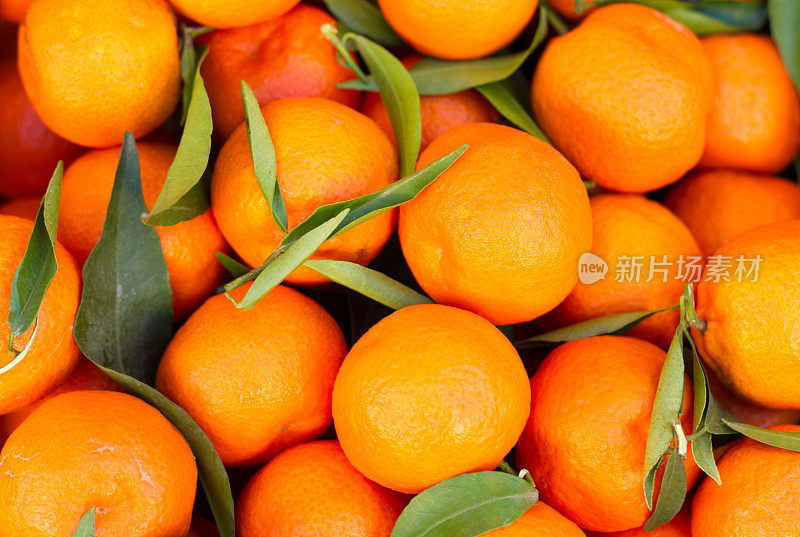 新鲜采摘的带叶子的橙子(全框头顶)